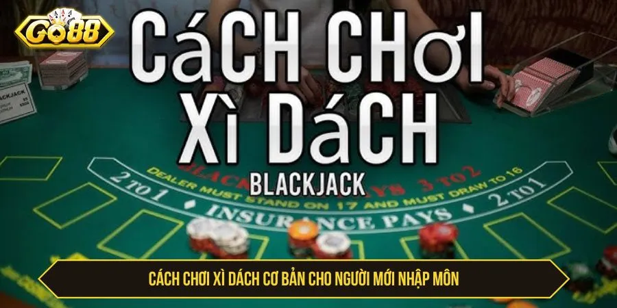 Cách chơi xì dách cơ bản cho người mới nhập môn